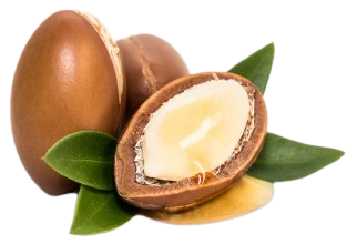 HUILE D' ARGAN - Grand format