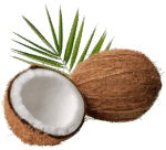 HUILE de COCO   Séborégulateur, nourrissante, assouplissante